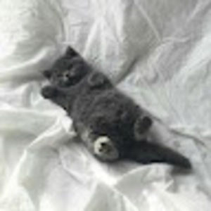 Meet your Posher, Sally